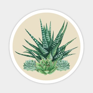 Watercolored Succulents Magnet